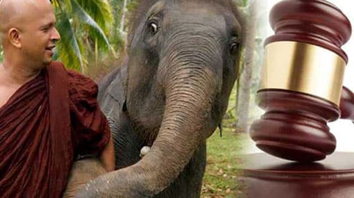 Case against Dhammaloka Thero postponed