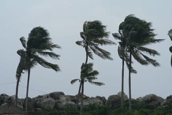 Met Dept. predicts thundershowers and strong winds