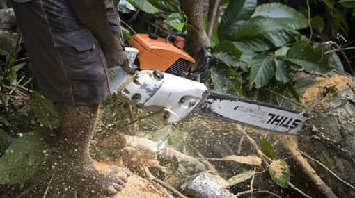 Register all chainsaws before February 28 – Defence Ministry