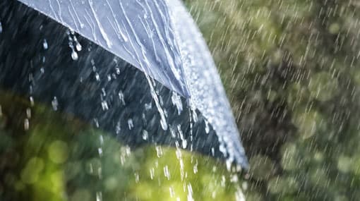 Showers expected after 2 pm
