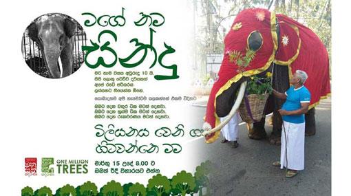‘Manusath Derana’ successfully completes One Million Trees project
