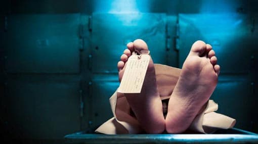 Unidentified body found in Kakkutu Madiththa reserve
