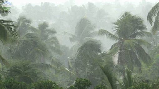 Severe thunderstorm and heavy rainfall advisory issued