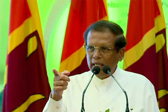 I will ban carpentry sheds; sawmill owners have 5 years to find another job - President