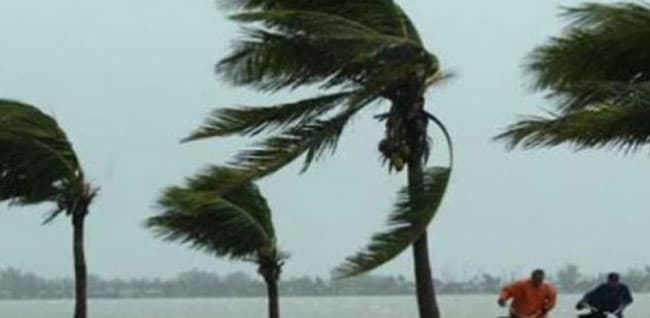 Windy and showery conditions to continue during next few days