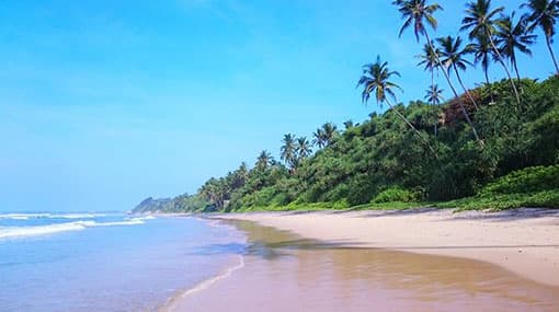 Sri Lanka reduces airline charges in move to boost tourism