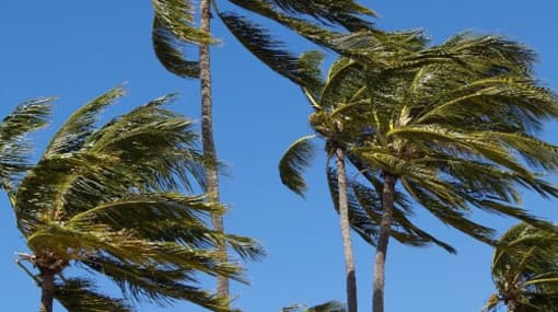 Winds expected to diminish during next few days