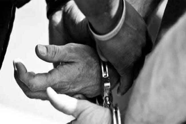Two arrested for kidnapping intl. school girl and mother