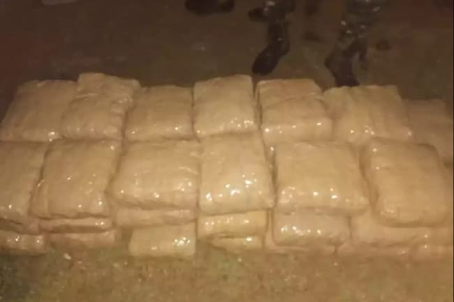 Navy nabs suspect with 83kg of Kerala Cannabis