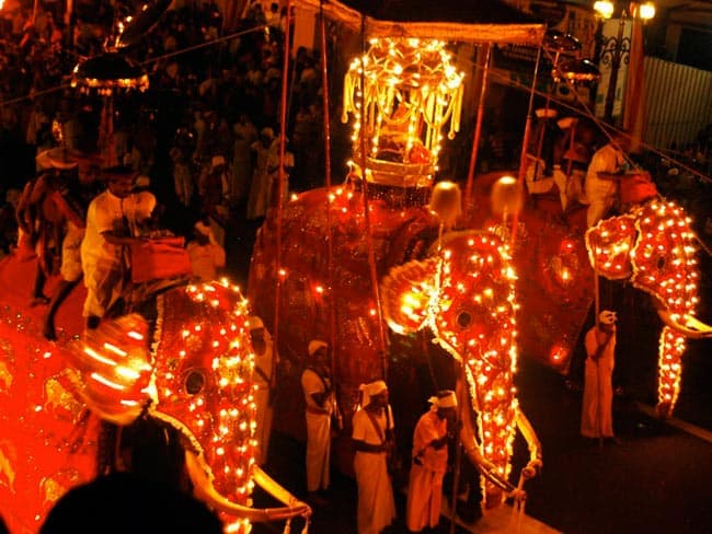 Elephants allowed in peraheras limited to five – Diyawadana Nilame