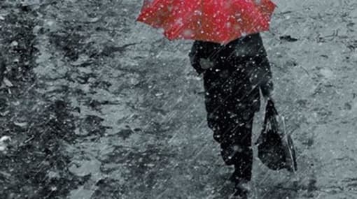 Afternoon thundershowers expected today