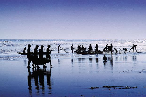 Several regulations for fisheries industry to be presented to parliament next week