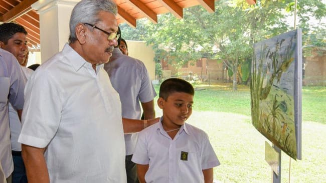 Development and environmental protection must go hand in hand – President