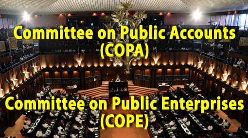 New members appointed to COPE, COPA