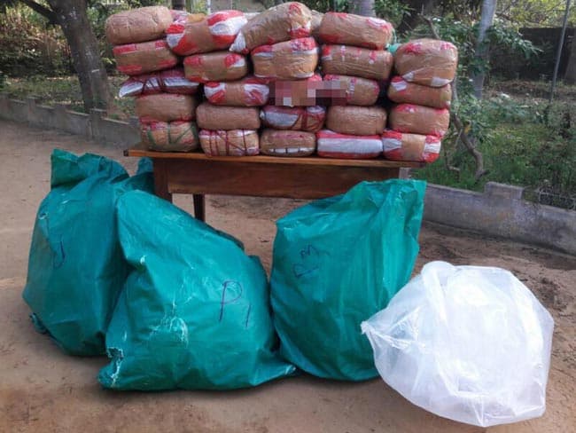 Man arrested with 110 kg of Kerala Cannabis