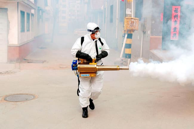 COVID-19 claims more than 1,300 lives as Hubei reports 242 deaths