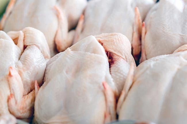 Price of broiler chicken slashed