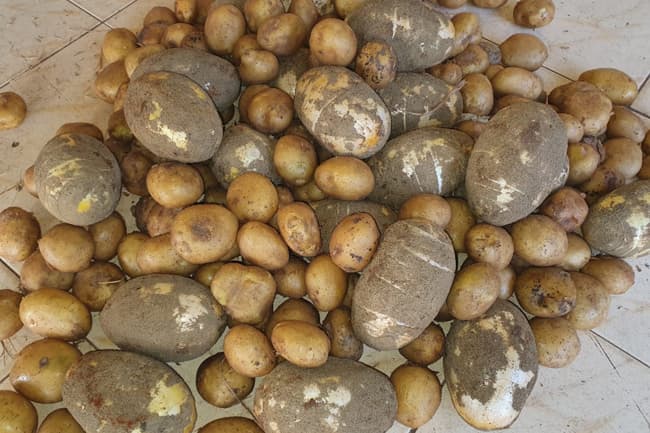 Over 99kg of heroin seized from Negombo