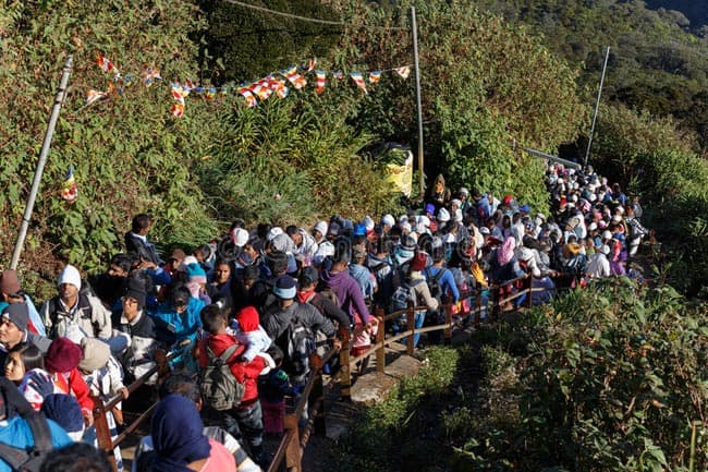 Public requested to refrain from engaging in pilgrimages, trips
