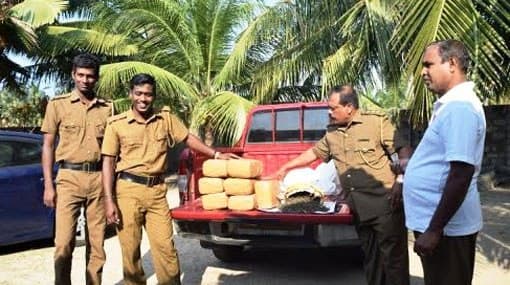 17 kg of Kerala ganja seized in Mannar