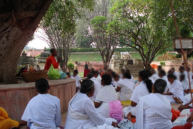 113 Sri Lankan pilgrims who returned from India sent for quarantining