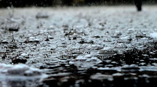 Showers expected over most parts of the island: Met. Dept.