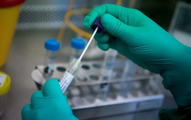 Two more COVID-19 cases bring tally to 337