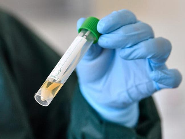 Four new COVID-19 cases bring total to 653