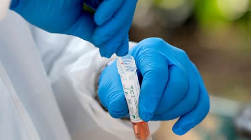 Two more cases of Covid-19 reported