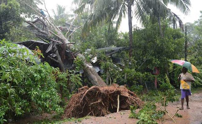 131 persons affected by adverse weather