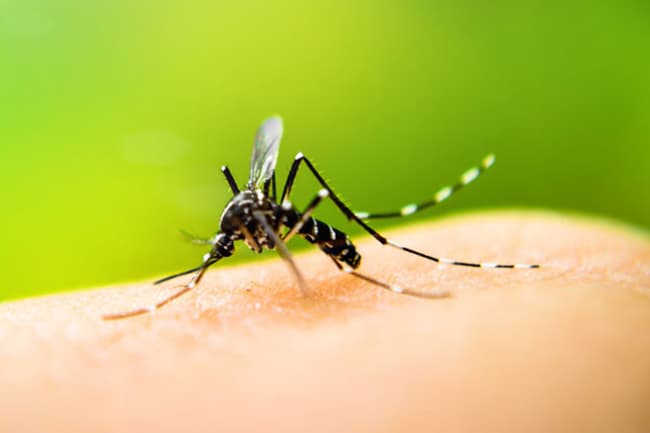 Health authorities warn of surge in dengue cases with heavy rains