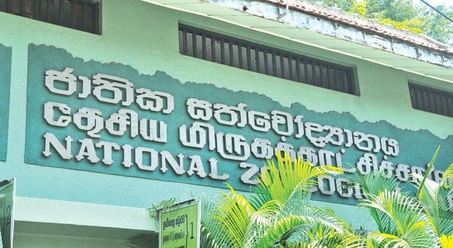 Zoos and national parks to reopen from June 15