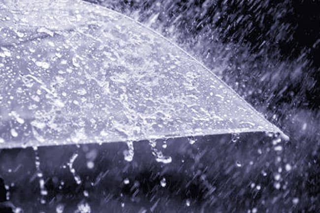 Showers or thundershowers expected in some provinces