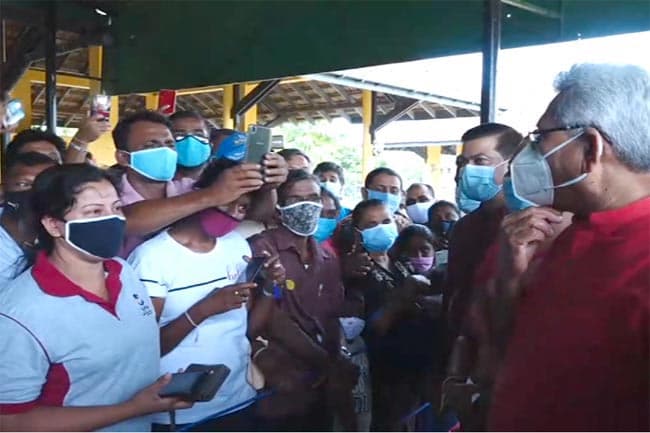 Plans afoot to promote pepper cultivation as an export crop - President
