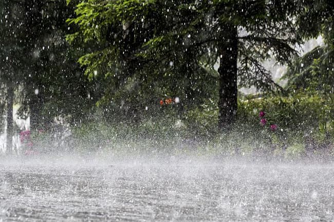 Showers possible in parts of the island