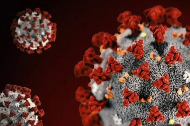 COVID-19: 51 more cases add to Minuwangoda cluster