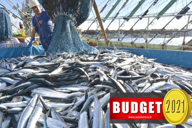 Budget 2021: Rs 200 mn to develop Fisheries Farm Zones