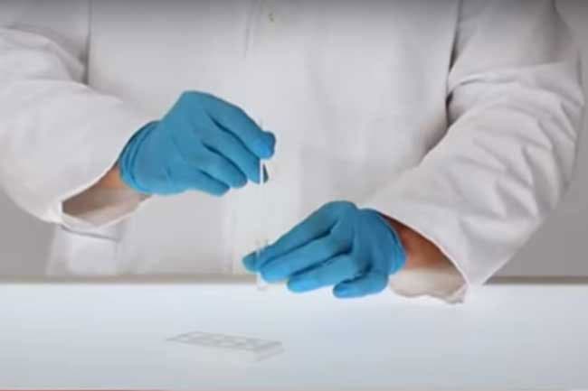 COVID-19 rapid antigen testing commences from today