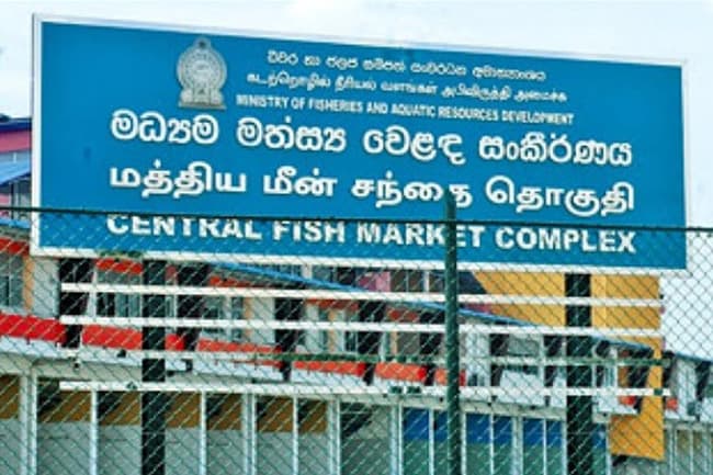 Peliyagoda Fish Market to reopen only for wholesale trading