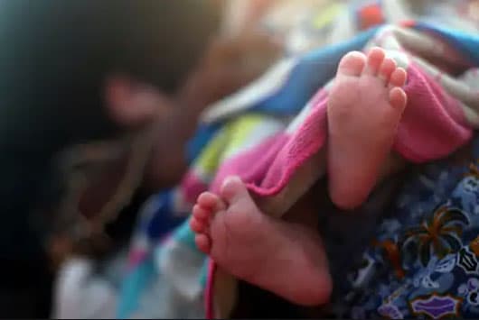 Swiss express regret over illegal adoptions from Sri Lanka