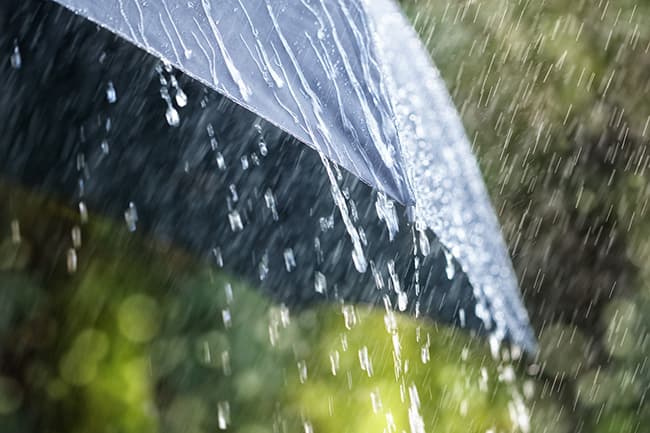 Showers or thundershowers likely in some areas