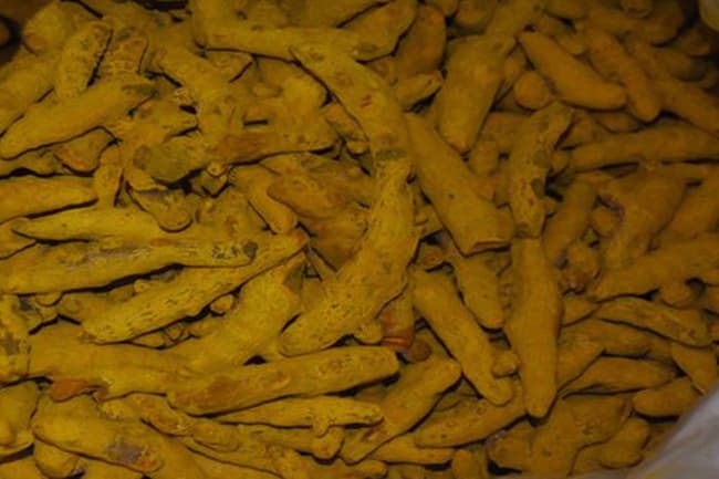 Over 1,100kg of smuggled-in turmeric seized in Modara