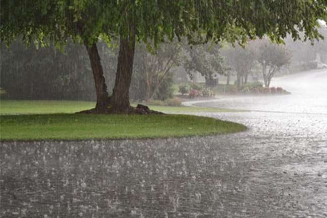 Heavy showers above 100mm expected in five provinces