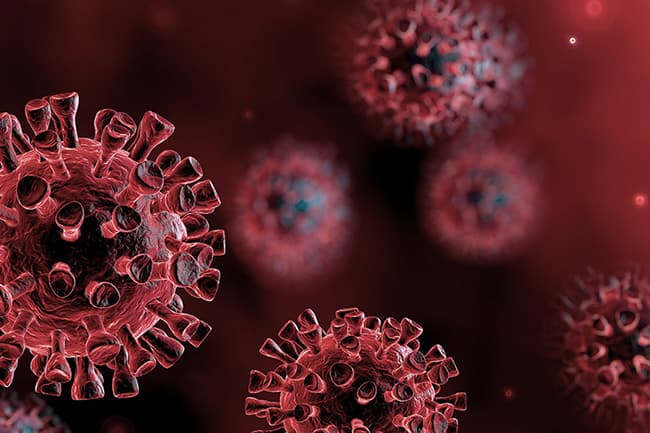 Sri Lanka reports another Covid-19 death