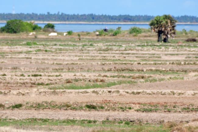 Prevailing dry weather likely to change from tomorrow