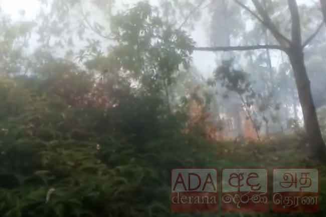 SLAF deploys helicopter to douse fire at Ravana Ella forest reserve