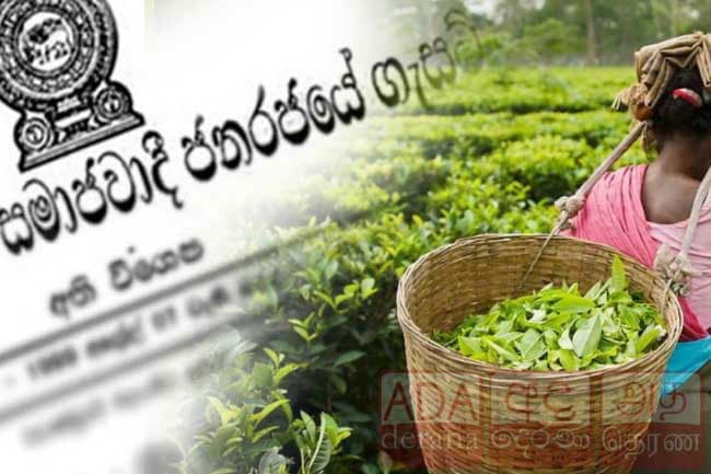 Petition against gazette increasing estate workers’ daily wage to Rs 1,000