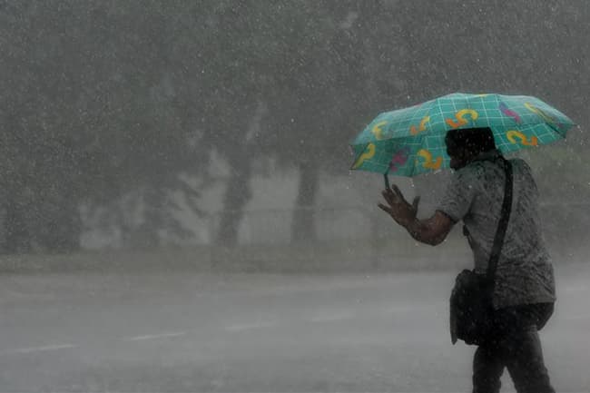 Fairly heavy rainfall above 75 mm expected today