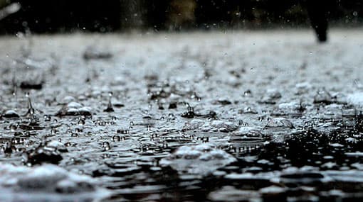Showers expected over most parts of the island