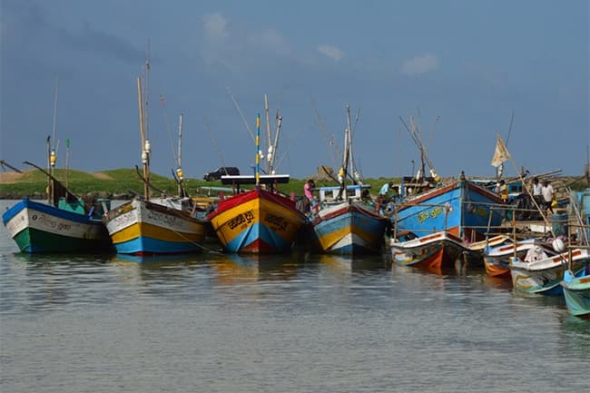 Fishing activities from Panadura to Negombo temporarily banned